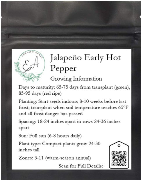 Jalapeño Early Hot Pepper