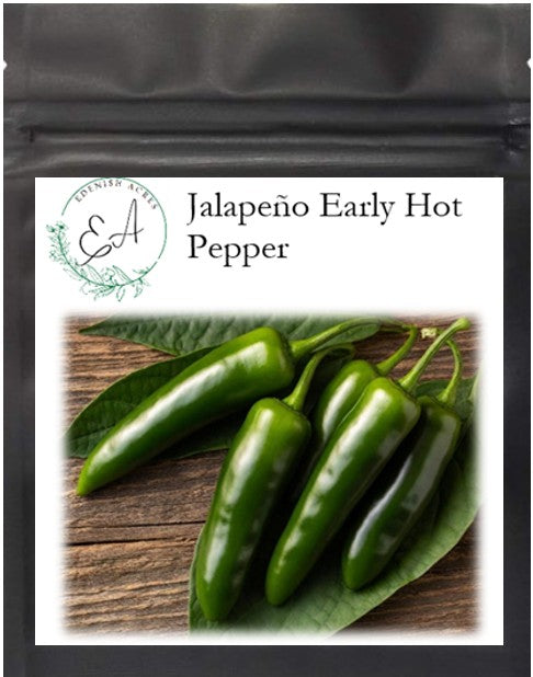 Jalapeño Early Hot Pepper