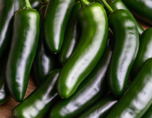 Jalapeño Peppers