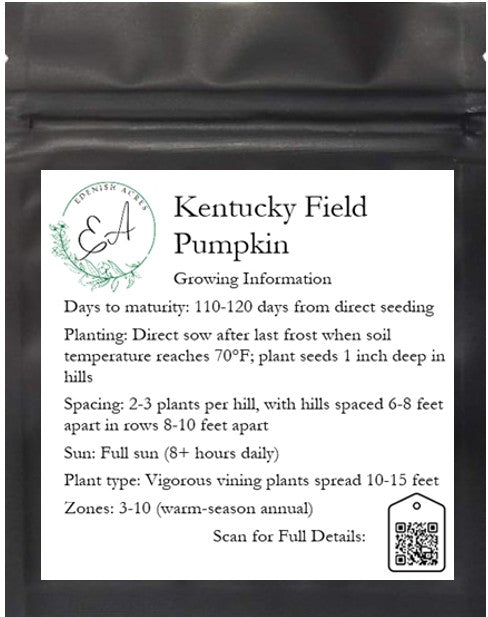 Kentucky Field Pumpkins