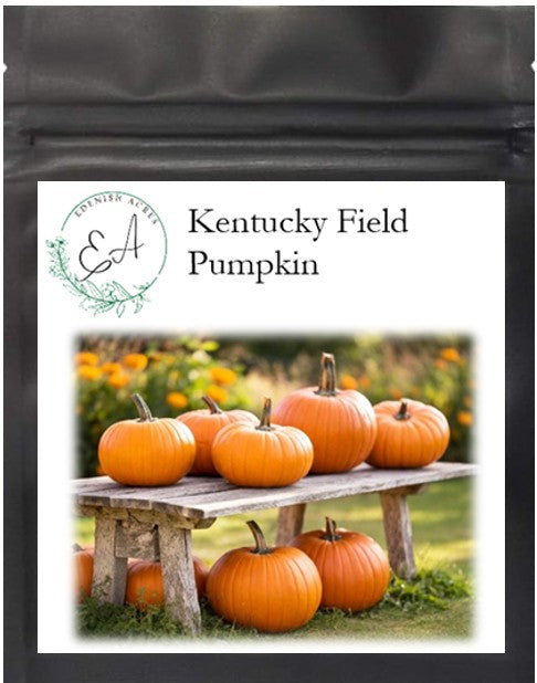 Kentucky Field Pumpkins