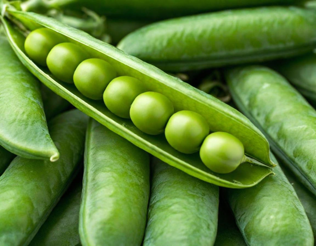 Little Marvel Peas