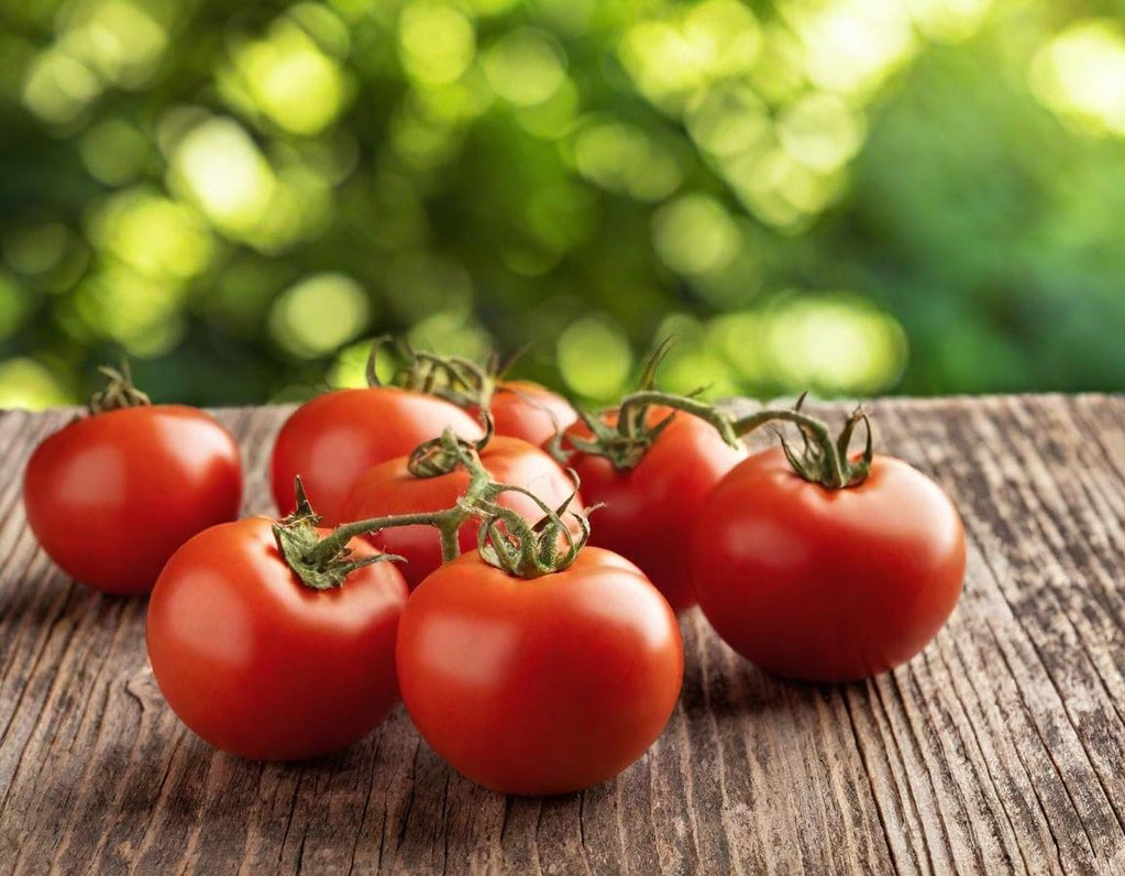 Moneymaker Organic Tomato