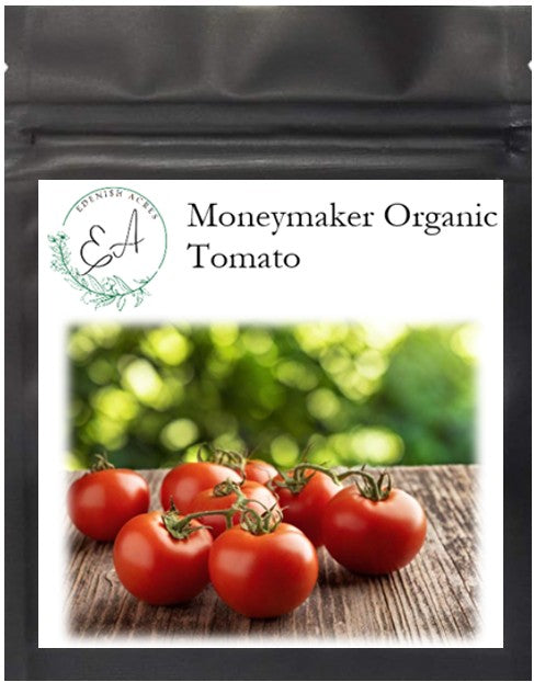 Moneymaker Organic Tomato