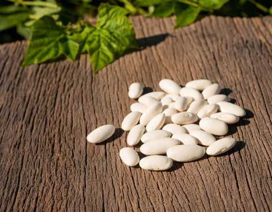 Mortgage Lifter Beans