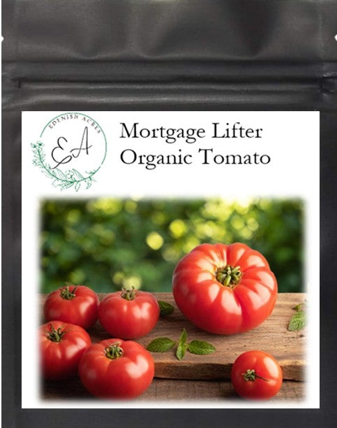 Mortgage Lifter Organic Beefsteak Tomato