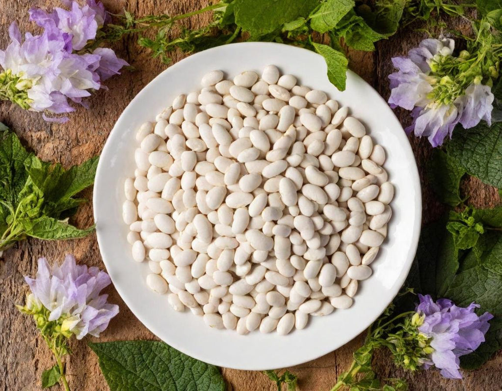 Navy Beans