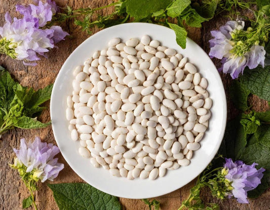 Navy Beans