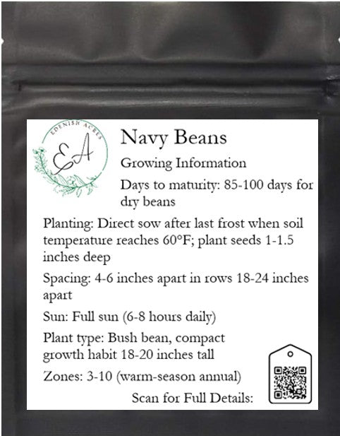 Navy Beans