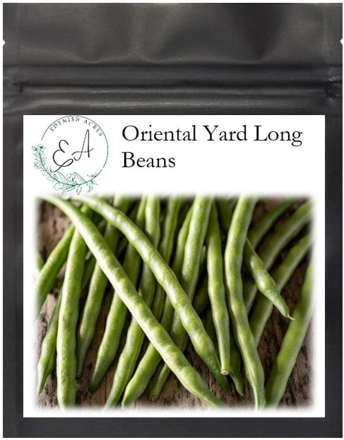 Oriental Yard Long Beans