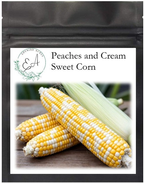 Peaches and Cream Sweet Corn