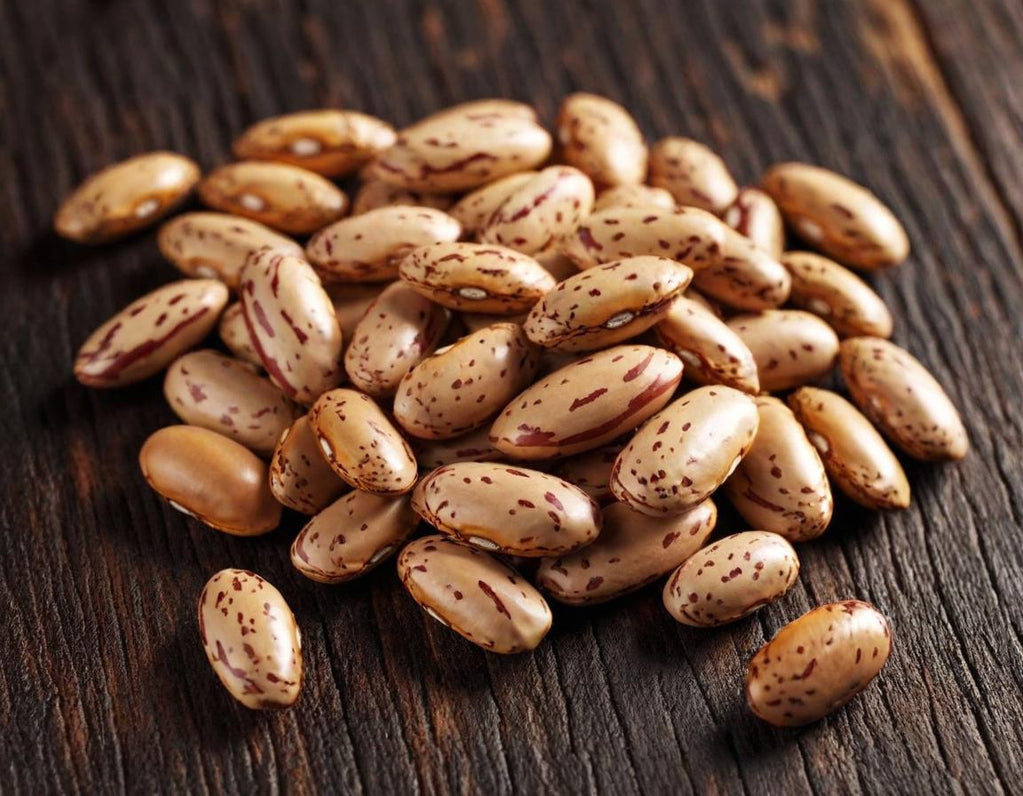 Pinto Beans