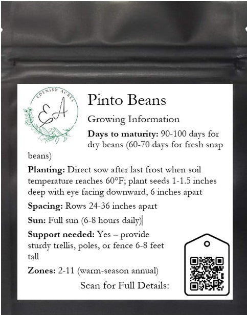 Pinto Beans