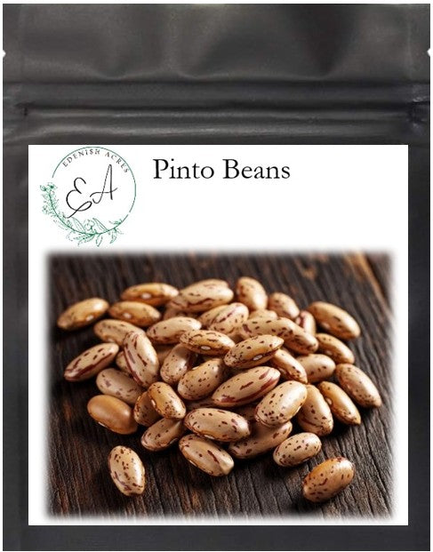 Pinto Beans
