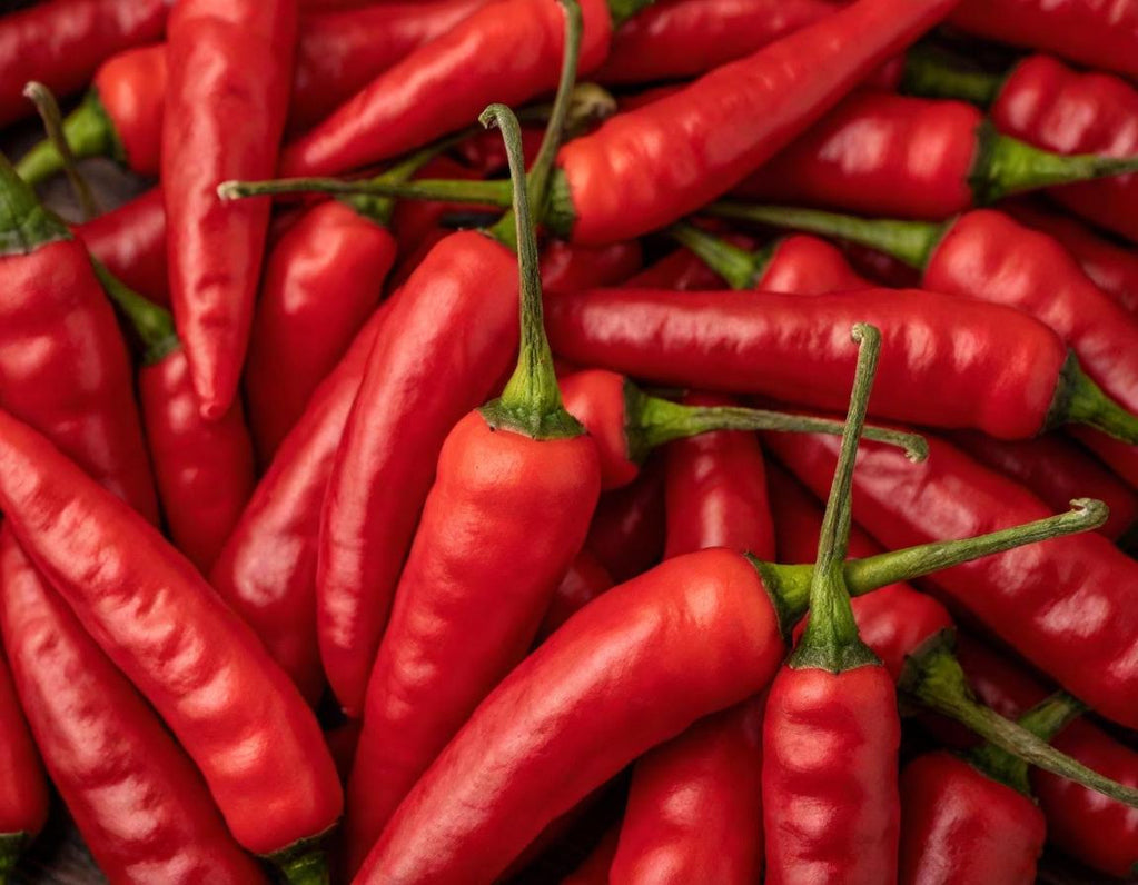Small Red Chili Hot Peppers