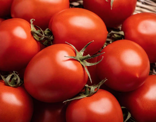 Roma VF Tomato