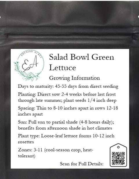 Salad Bowl Green Lettuce