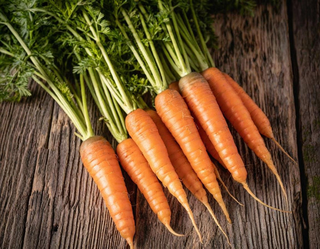 Scarlet Nantes Carrots