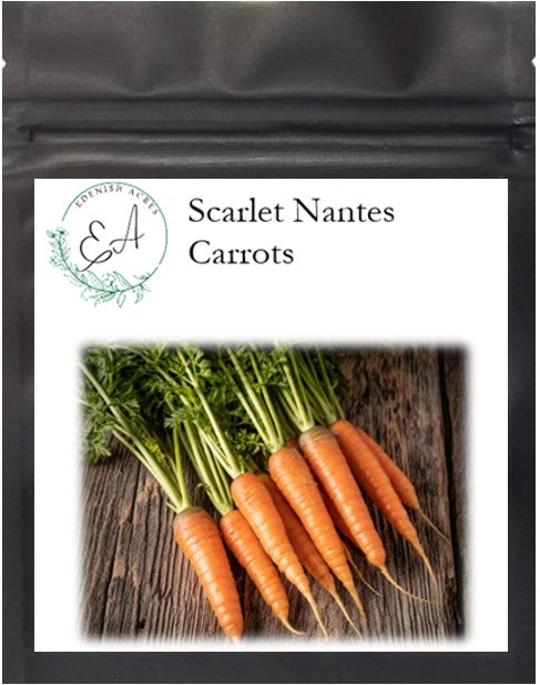 Scarlet Nantes Carrots