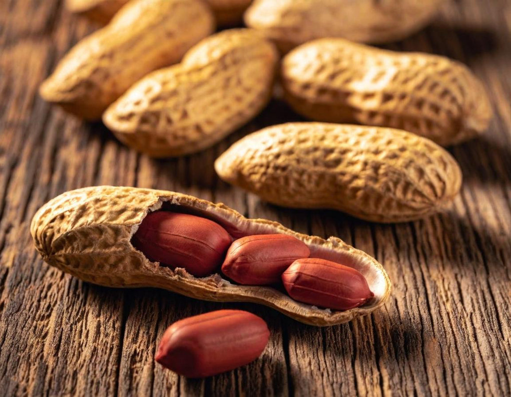 Spanish Red Peanuts