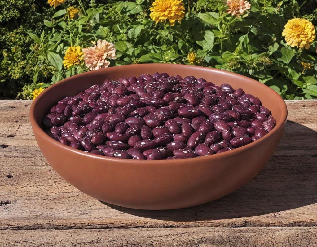 Spanish Tolosana Beans