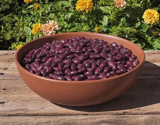 Spanish Tolosana Beans