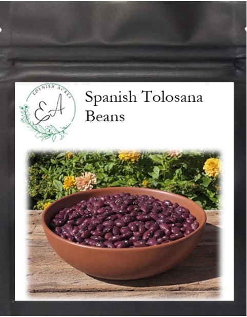 Spanish Tolosana Beans