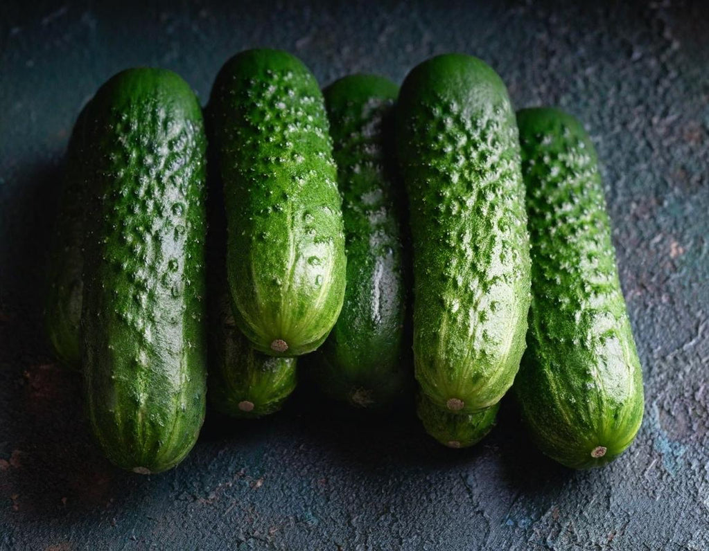 Straight 8 Cucumber
