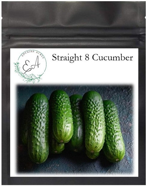 Straight 8 Cucumber