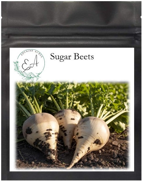 Sugar Beets