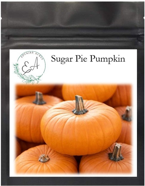 Sugar Pie Pumpkin