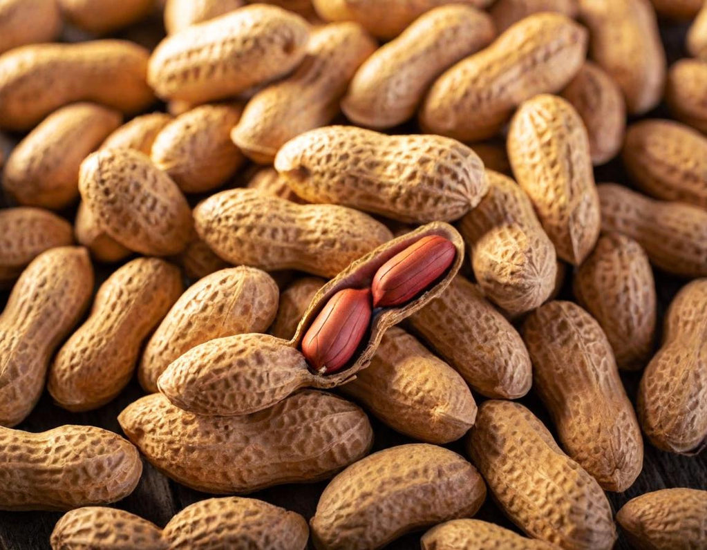 Tennessee Red Peanuts
