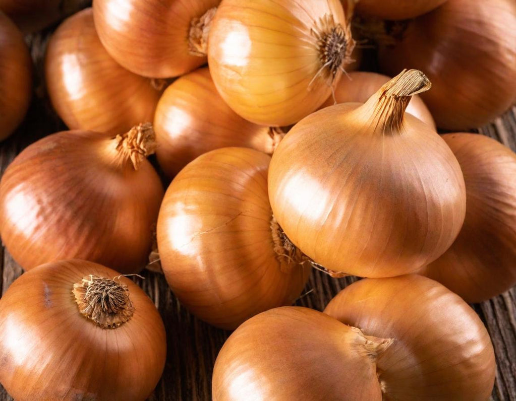 Texas 1015 Super Sweet Onions Short Day