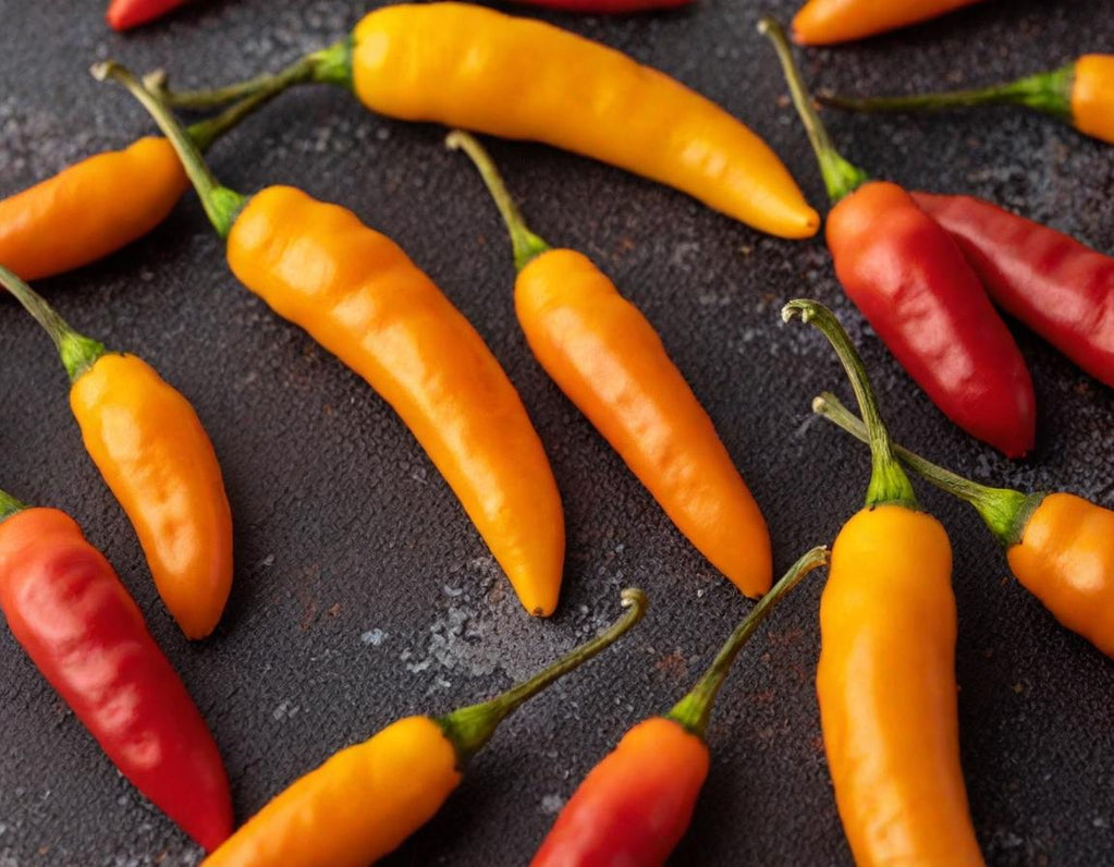 Tabasco Hot Peppers