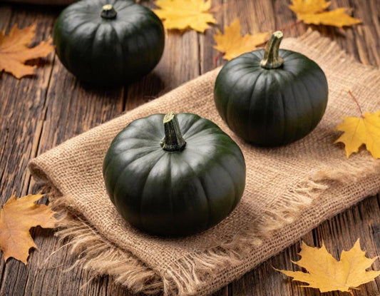Table King Bush Winter Squash