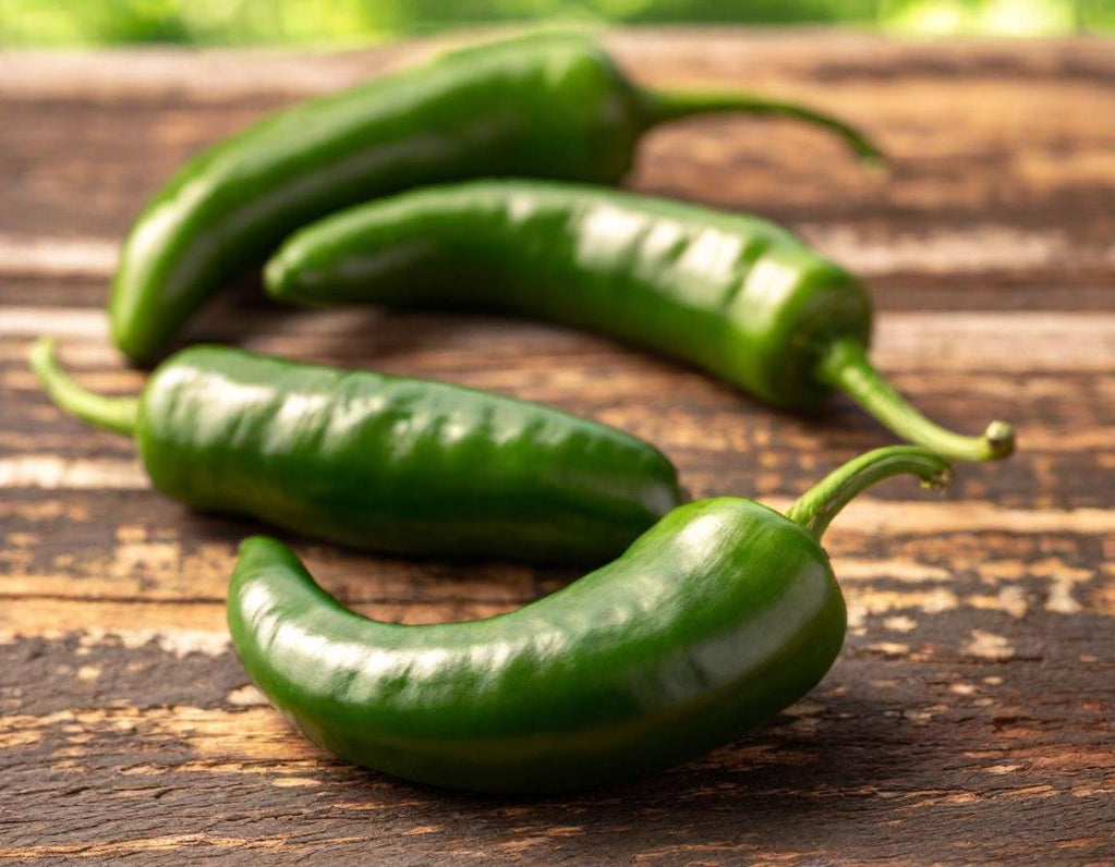 Tam Jalapeño Mild Peppers