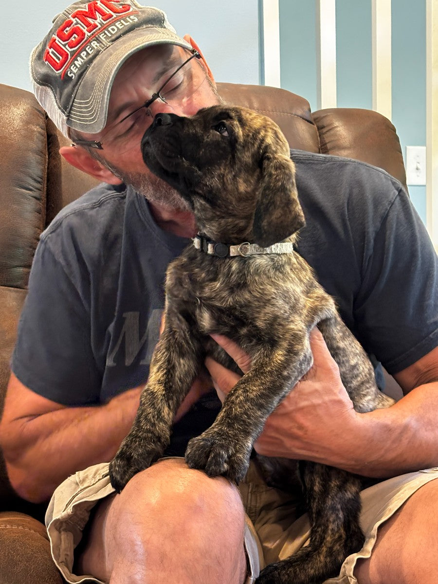 Achilles - South Carolina