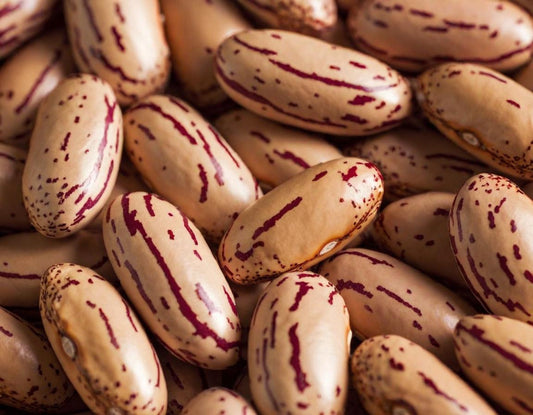 Topazio Garden Beans