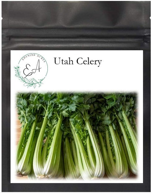 Utah 52-70 Celery