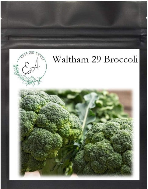 Waltham 29 Broccoli