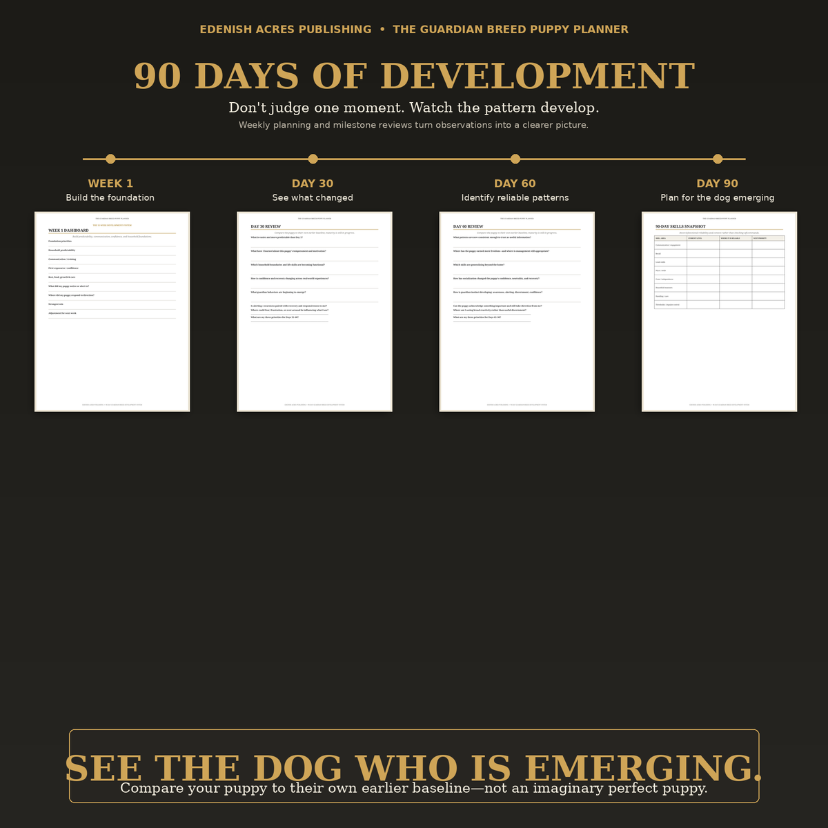 Week 1 Day 30 Day 60 and Day 90 development pages