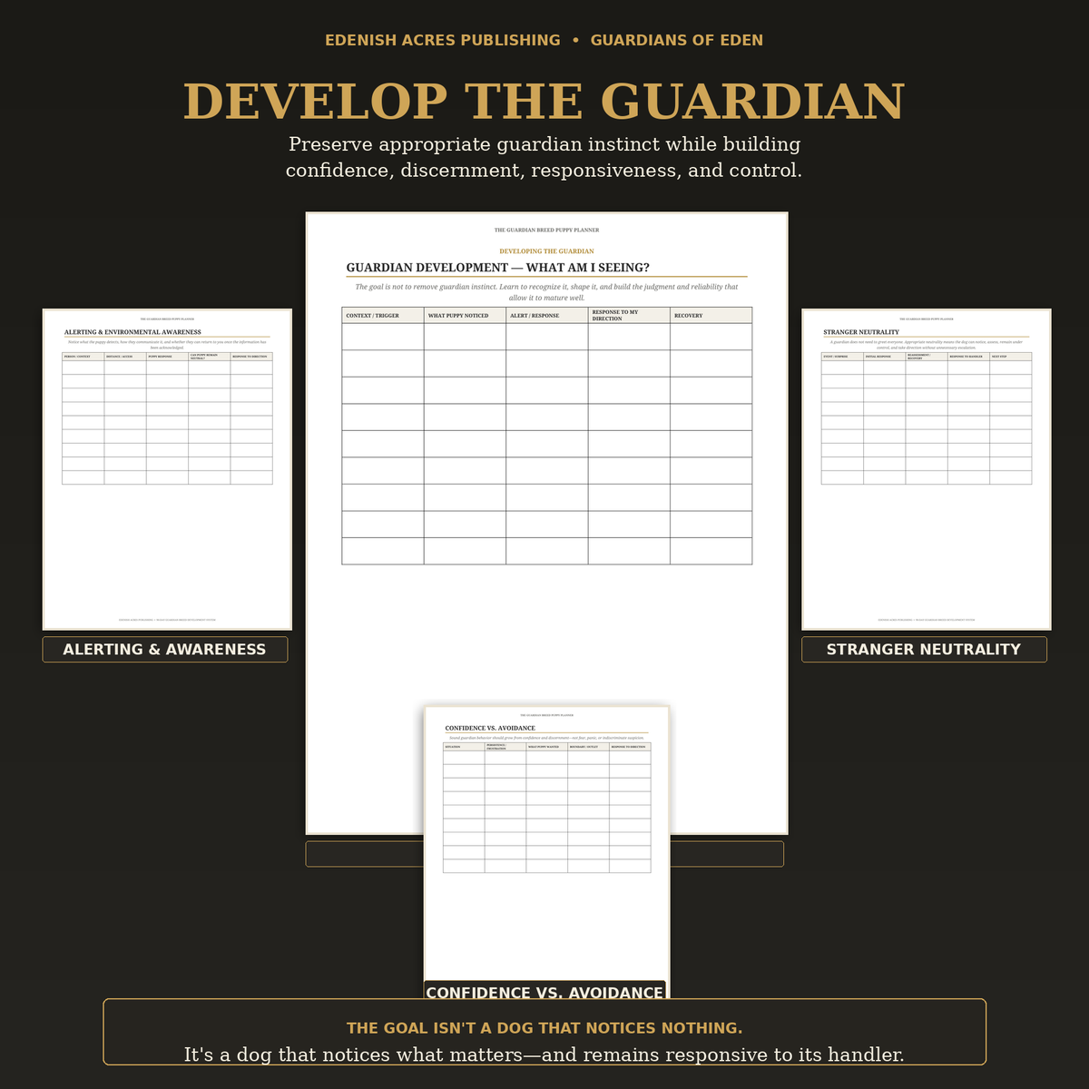 Guardian development pages showing confidence discernment responsiveness and control
